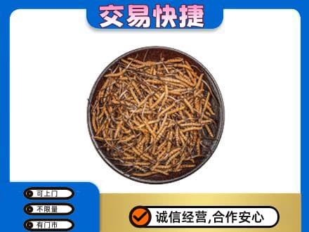 高邑县高价回收散虫草